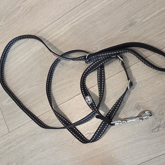 Thunder Leash No Pull Dog Leash - Picture 2 of 2